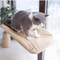 CozyView Cat Window Hammock Washable Suction Cup Perch Bed For Indoor Cats 2
