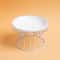 Elevated Ceramic Cat Bowl Set With AntiSpill Stand 4
