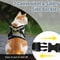 Adjustable Cat Harness And Leash Set For Kittens 1