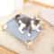 Raised Canvas Cat Hammock Bed With Wooden Frame 0