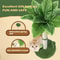 65cm Cat Scratching Post With Sisal Rope Interactive Toy Balls For Indoor Cats 1