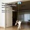 Smart Swing Electric Cat Toy With Door Hanging Feather Teaser 2
