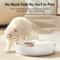 ROJECO 4Meal Automatic Cat Feeder For Wet And Dry Food 4