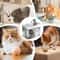FreshFlow 15L Automatic Cat Water Fountain USB Pet Dispenser 2