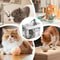 FreshFlow 15L Automatic Cat Water Fountain USB Pet Dispenser 2