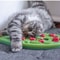 Rainy Day Interactive Cat Treat Puzzle Slow Feeder 5