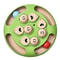 PurrSpin Interactive Cat Puzzle Feeder Toy 7