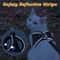 Escape Proof Cat Harness And Leash Set With Reflective Soft Mesh Vest 4