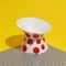ErgoLift Elevated Cat Bowl Ceramic AntiTip Pet Dish 6