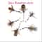 Interactive Insect Feather Cat Toy Replacement Heads 6