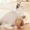 10CM Sisal Cat Scratching Ball Interactive Claw Care Toy 4