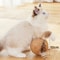 10CM Sisal Cat Scratching Ball Interactive Claw Care Toy 4