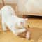 10CM Sisal Cat Scratching Ball Interactive Claw Care Toy 5