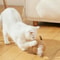 10CM Sisal Cat Scratching Ball Interactive Claw Care Toy 5