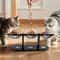 Elevated Black Cat Ear Feeding Station With Stainless Steel Bowls For Indoor Cats 1