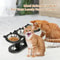 Elevated Black Cat Ear Feeding Station With Stainless Steel Bowls For Indoor Cats 4