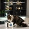 PureFlow 32L Cat Water Fountain Stainless Steel Automatic Pet Water Dispenser 5