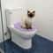 FoldEase Portable Cat Litter Box Travel Toilet For Cats 2