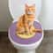 FoldEase Portable Cat Litter Box Travel Toilet For Cats 3