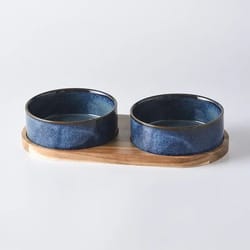 elevated ceramic cat bowl for cats & small dogs – anti-vomit raised pet bowl with non-slip design