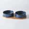 Elevated Ceramic Cat Bowl For Cats Small Dogs AntiVomit Raised Pet Bowl With NonSlip Design 0