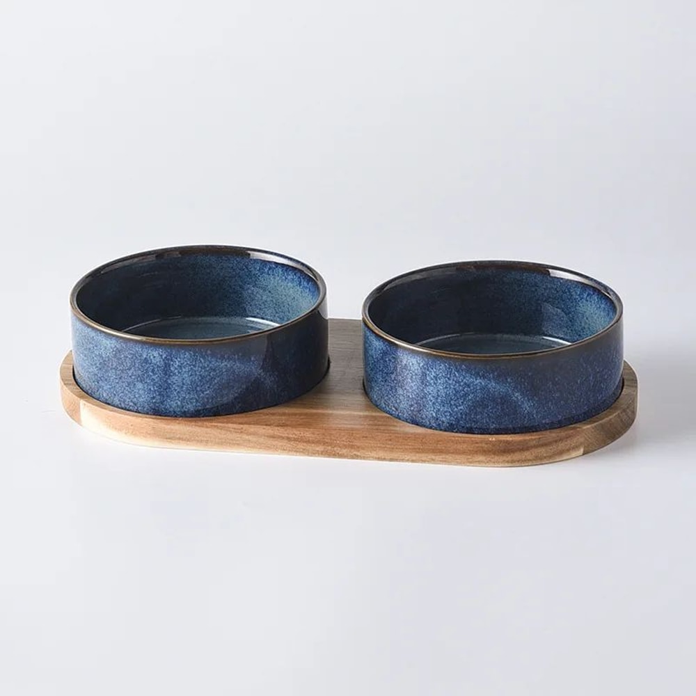 Elevated Ceramic Cat Bowl For Cats Small Dogs AntiVomit Raised Pet Bowl With NonSlip Design 14