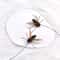 FlutterBug Cat Feather Toy Refills For Interactive Play 1