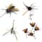 FlutterBug Cat Feather Toy Refills For Interactive Play 5