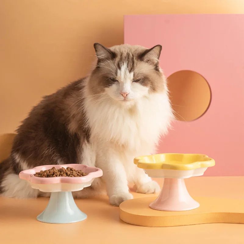 BloomLift Elevated Cat Bowl Ceramic Raised Cat Food Bowl With Flower Stand For WhiskerFriendly Fee 2