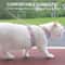 CozyPaws Cat Harness And Leash Set For Small Dogs Kittens 2