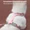 CozyPaws Cat Harness And Leash Set For Small Dogs Kittens 3