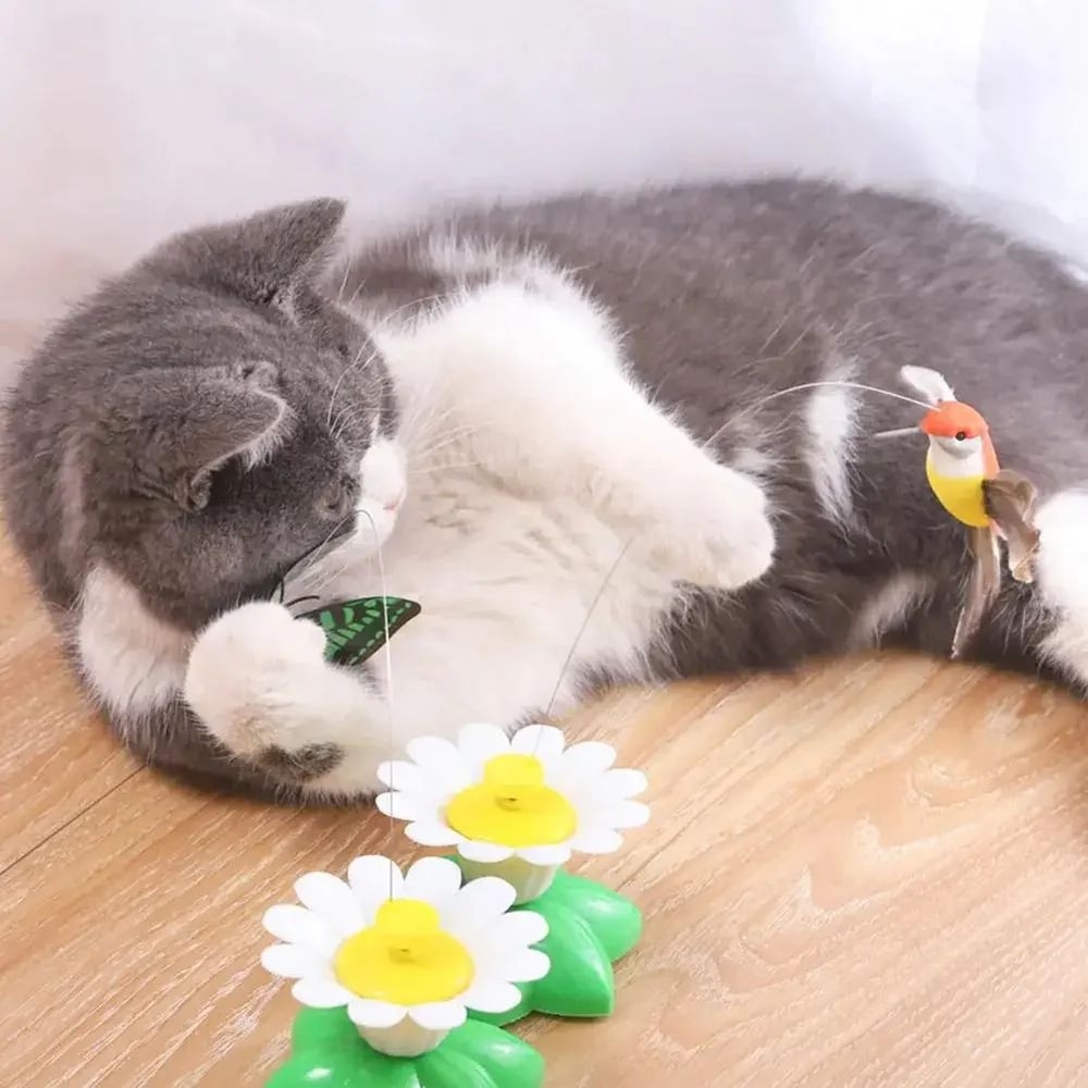 FlutterChase Automatic Butterfly Cat Toy 1