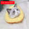 Avocado Soft Pet Recovery Collar For Dogs And Cats 15