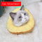 Avocado Soft Pet Recovery Collar For Dogs And Cats 15