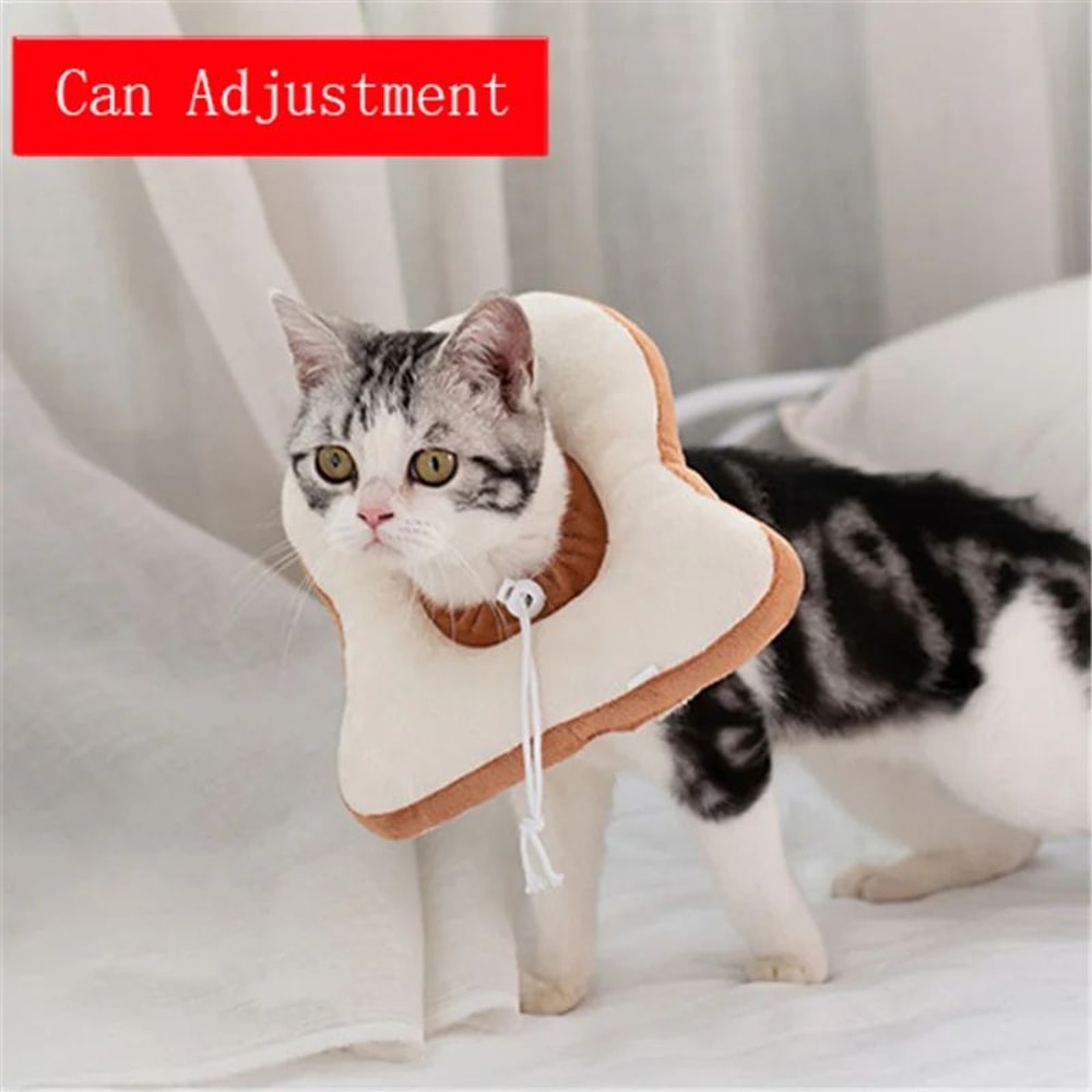 Avocado Soft Pet Recovery Collar For Dogs And Cats 11