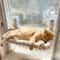 Foldable Cat Window Hammock Bed With Strong Suction Cups 0