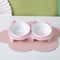 Elevated Ceramic Double Cat Bowl For Food And Water 9