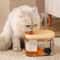 ClearFlow Automatic Cat Water Fountain With Transparent Water Tank 1