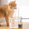 ClearFlow Automatic Cat Water Fountain With Transparent Water Tank 2