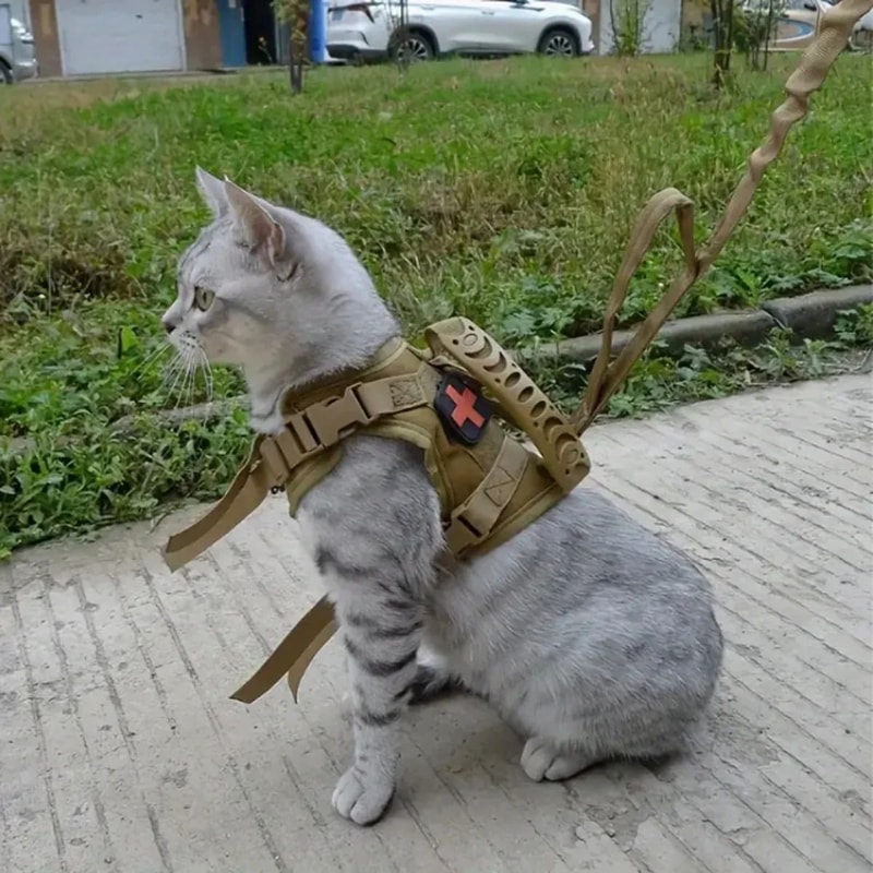 Tactical Adjustable Cat Harness And Leash Set 1