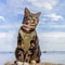 Tactical Adjustable Cat Harness And Leash Set 2