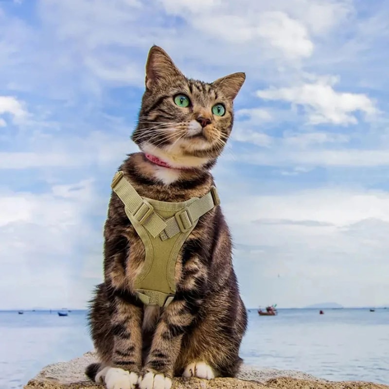 Tactical Adjustable Cat Harness And Leash Set 2