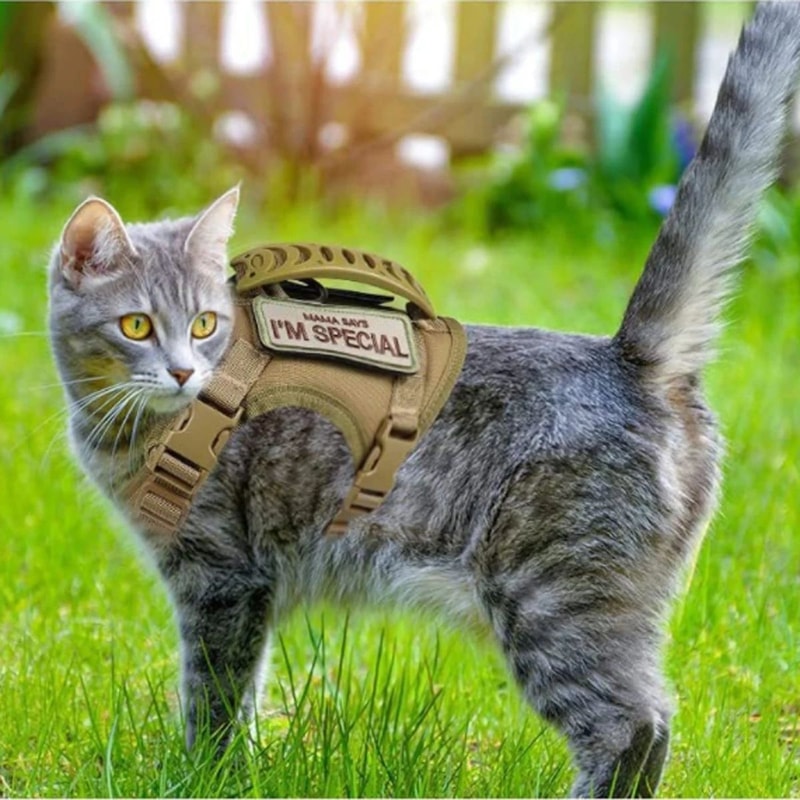 Tactical Adjustable Cat Harness And Leash Set 4