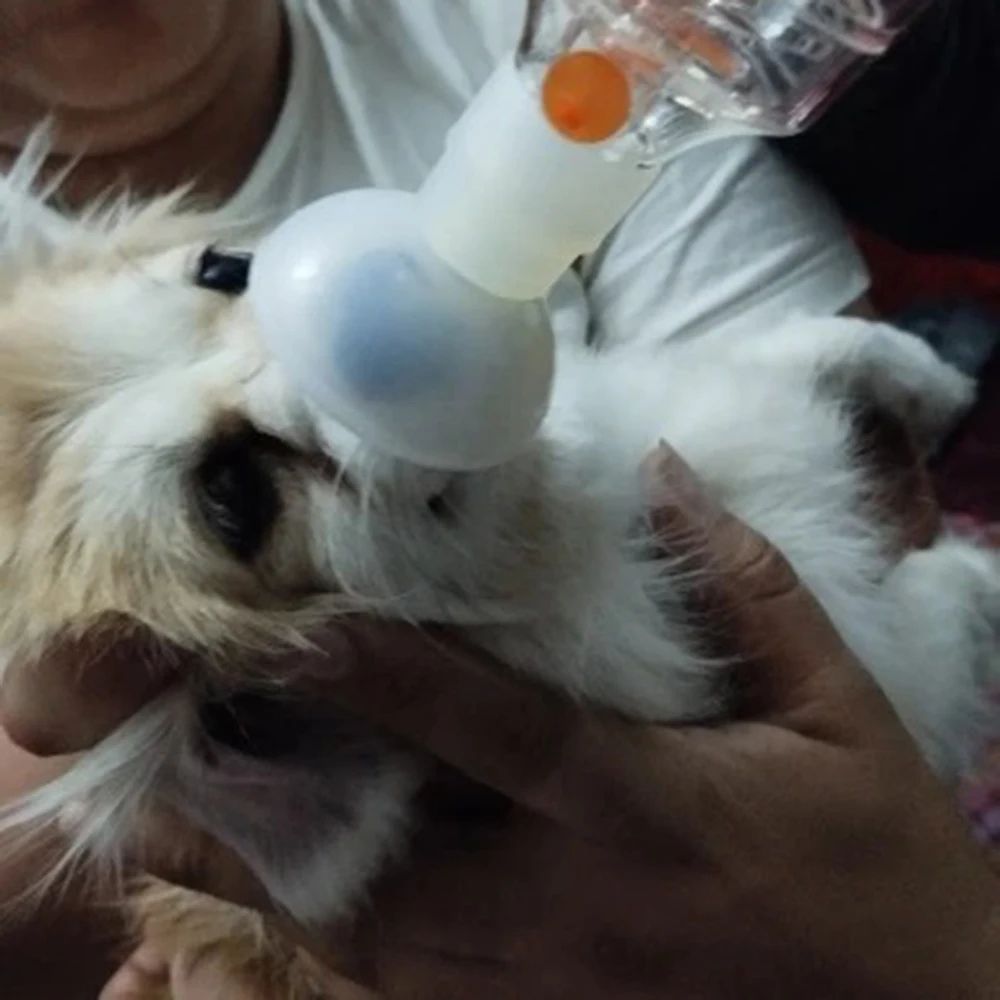 Pet Aerosol Chamber Inhaler Spacer With Soft Silicone Mask 4