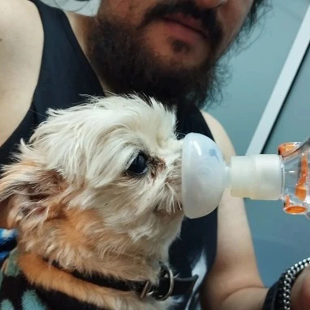 Pet Aerosol Chamber Inhaler Spacer With Soft Silicone Mask 5