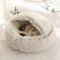 Cozy Covered Plush Pet Bed For Cats Kittens And Small Dogs 1