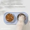 ComfortTilt Stainless Steel Double Pet Bowl Feeder 1