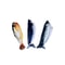 MotionActivated Flopping Fish Interactive Cat Toy 9