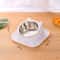 Stainless Steel AntiTip Cat Bowl With NonSlip Feeding Mat 6