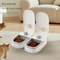 Timed Cooling Pet Food Dispenser Bowl For Cats And Dogs 2